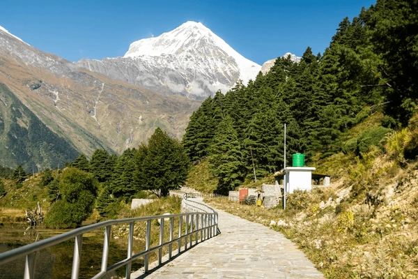 view of dhaulagiri range