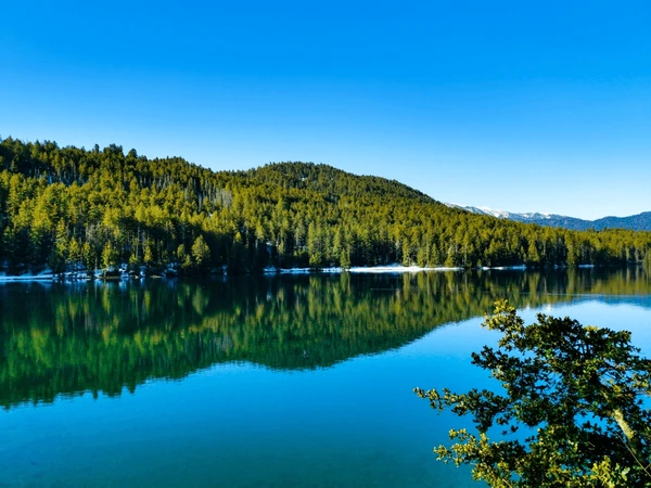 calm reflection of forests in rara lake