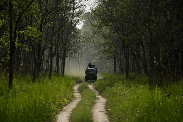 jeep safari in chitwan