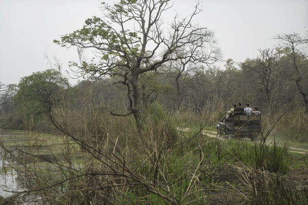 tourists in jeep during safari