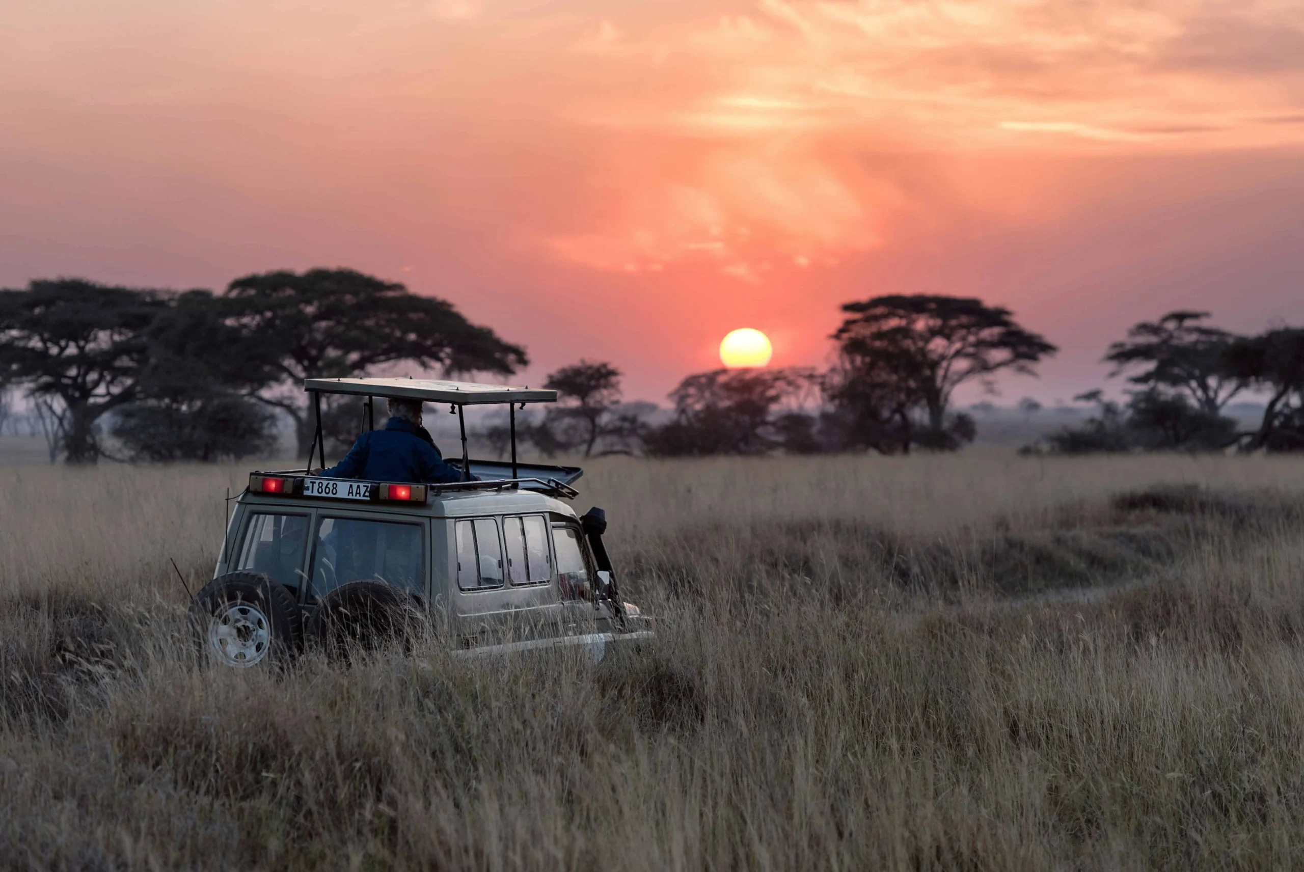 Nepal Safari: Wildlife Adventures in Chitwan
