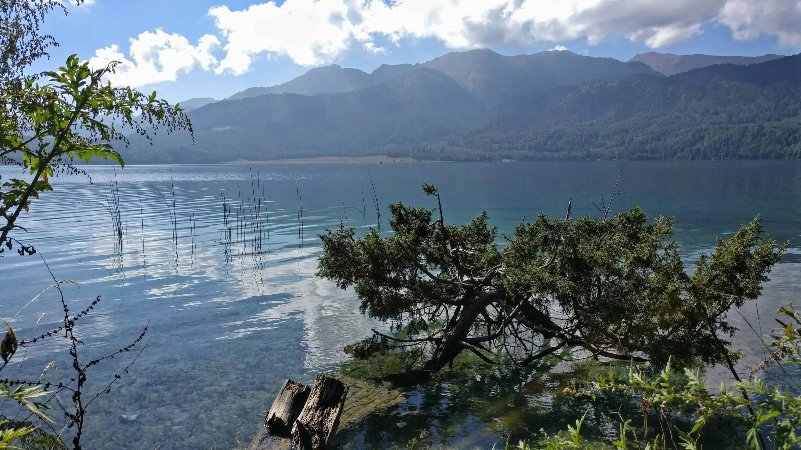 Why Rara National Park Should Be on Your Travel Bucket List